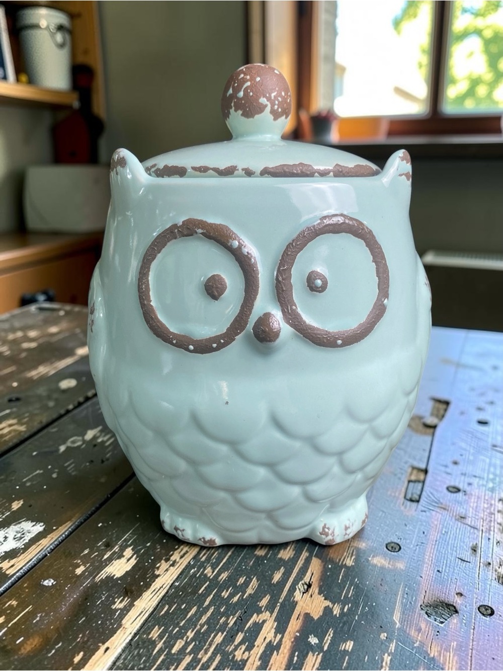 Decorative Owl Ceramic canister - light turquoise with Brown rustic patina EUC
